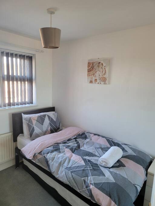 2 Bedroom End Of Terrace House Ουέλινγκτον Εξωτερικό φωτογραφία