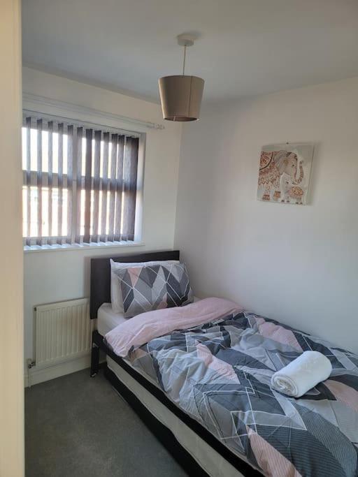 2 Bedroom End Of Terrace House Ουέλινγκτον Εξωτερικό φωτογραφία
